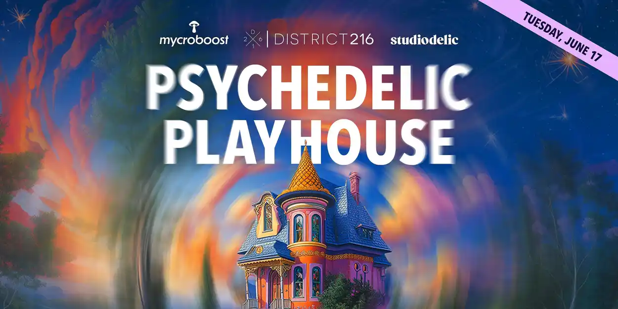 Warriorside at Psychedelic Playhouse
